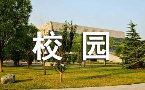 业余爱好者如何在智能场馆提升篮球技能_1